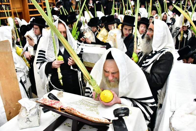 שוקי לרר