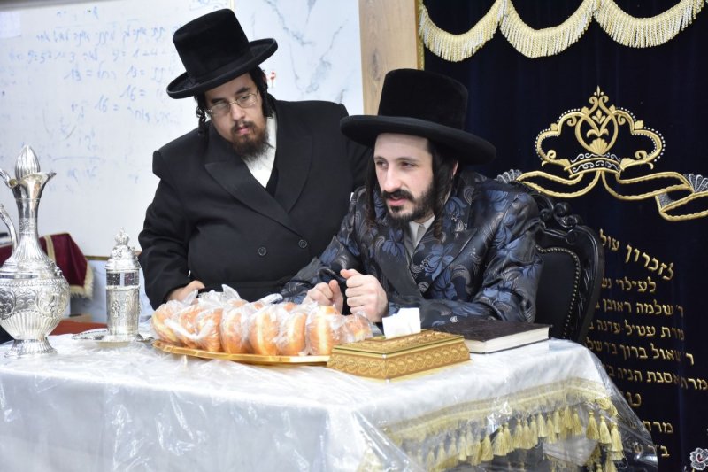 יהודה פרקוביץ