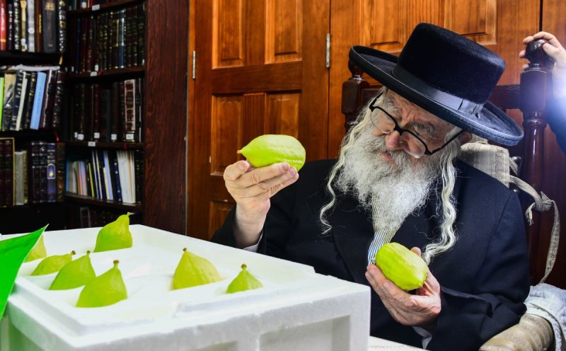 שוקי לרר