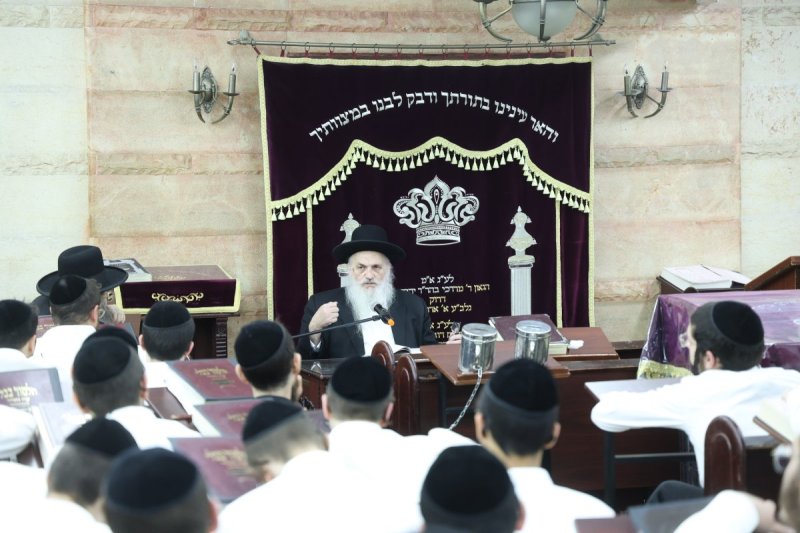 שלומי טריכטר