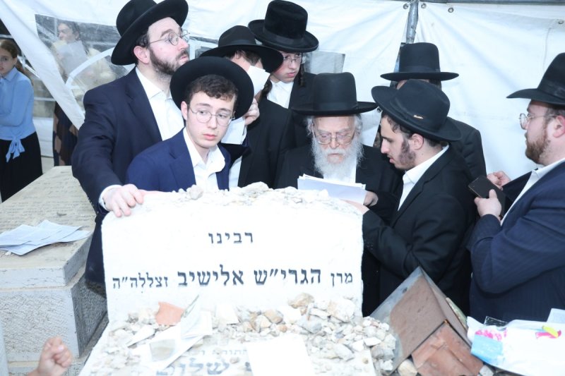 שלומי טריכטר