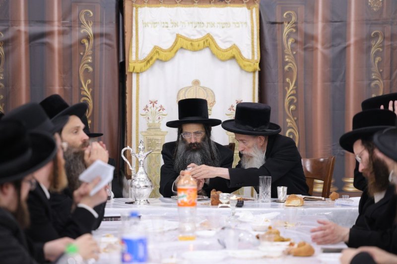 צ.י