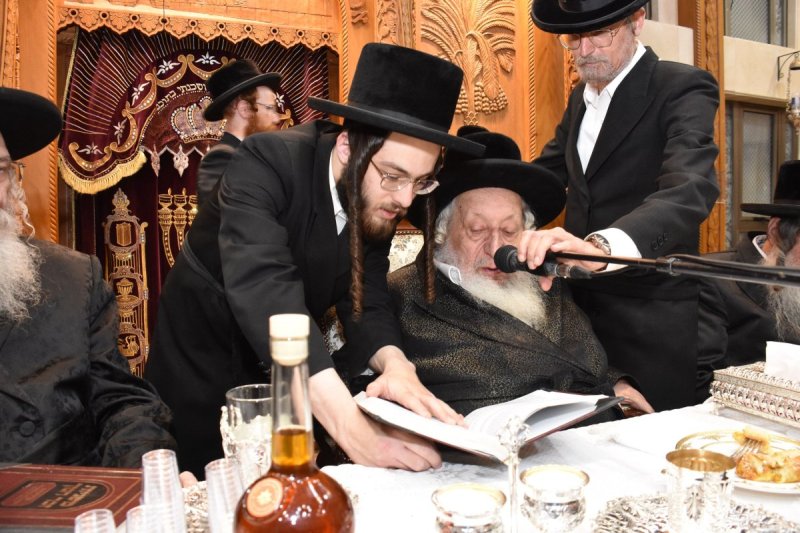 יהודה פרקוביץ