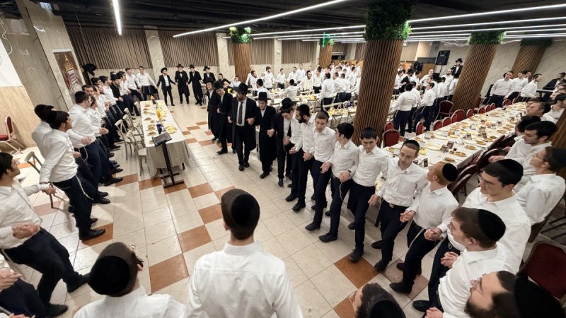 אלעזר פיינשטיין