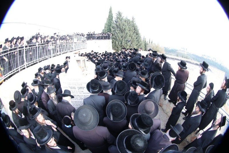 שלומי טריכטר