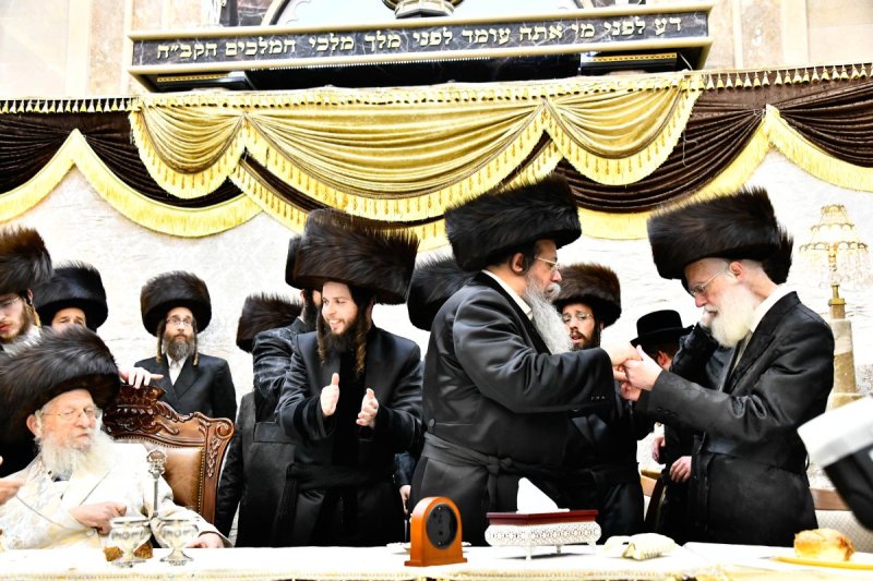 שוקי לרר