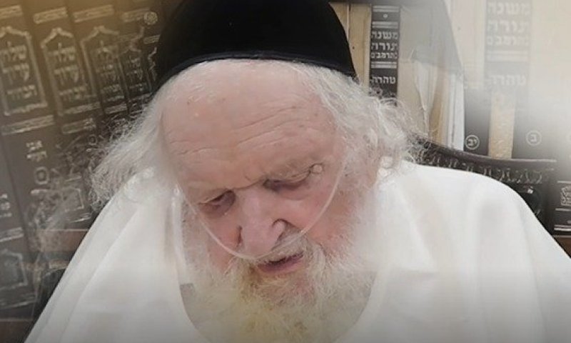עושים סוף לסיפור המזעזע של ילדי 'לב טהור' בהוראת פוסק הדור הגר"מ שטרנבוך