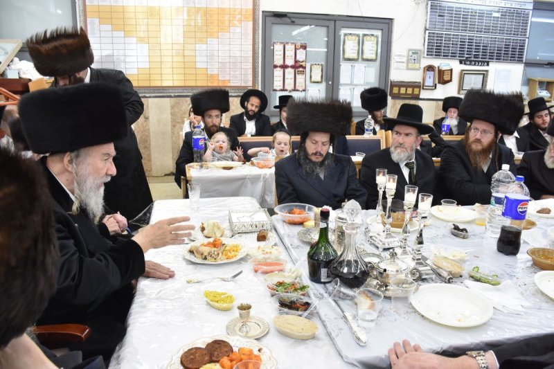 יהודה פרקוביץ