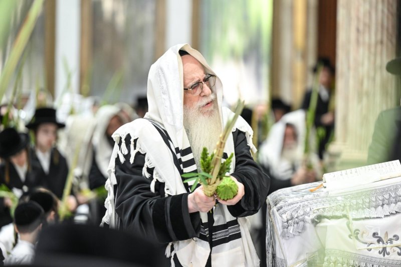 משה גולדשטיין