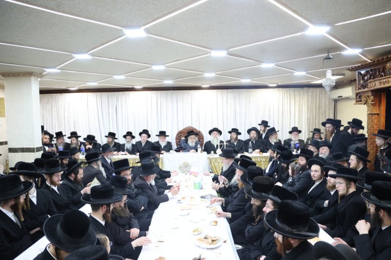 שלומי טריכטר