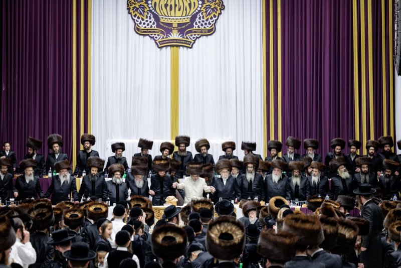 יוסי גולדברגר