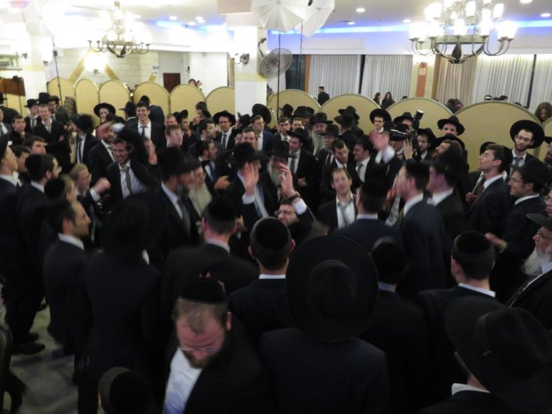 שלומי טריכטר