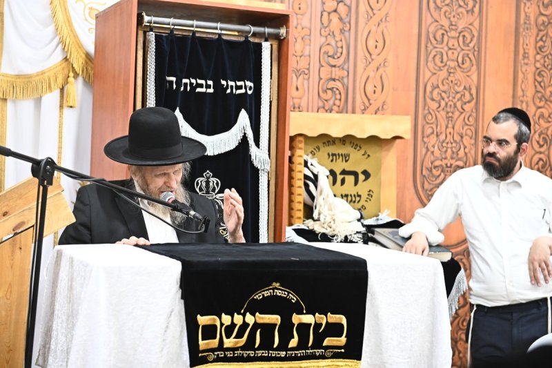 שוקי לרר