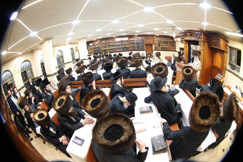 שלומי טריכטר