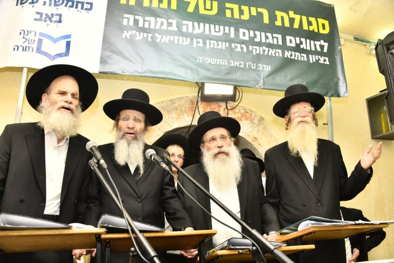 רינה של תורה