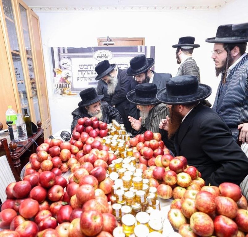 שלומי טריכטר