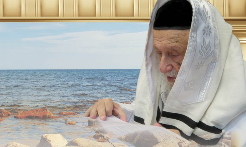 הגרב"ד פוברסקי חושף מסורת שקיבל מהרב מבריסק 