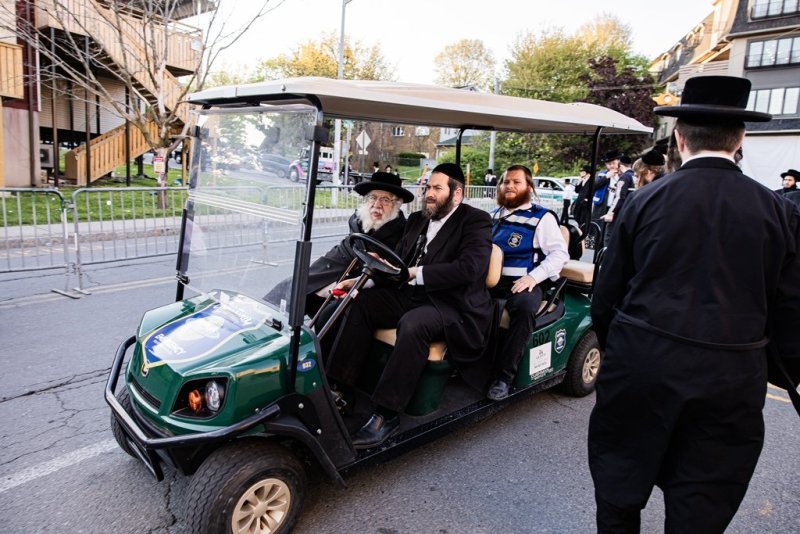 י. שטיין, שלום קליין ושלום שוורץ