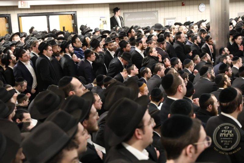 אדירי התורה