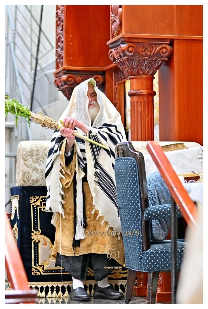 יהושע פרוכטר