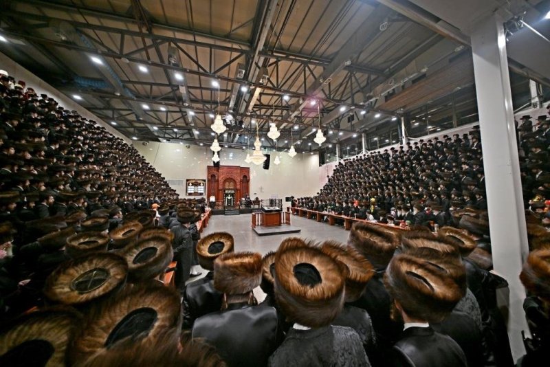 יהושע פרוכטר