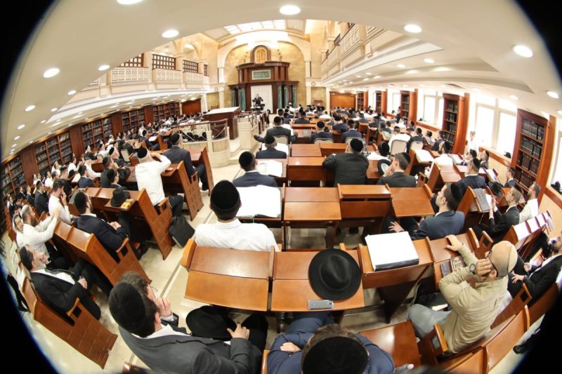 שלומי טריכטר