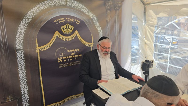 אלחנן קוטלר