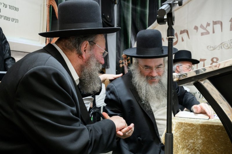 מנדי רוט