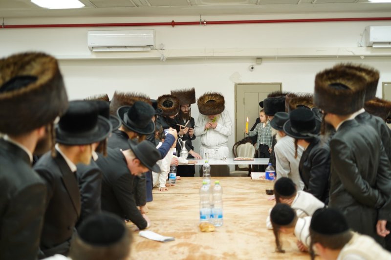 שימי פ.