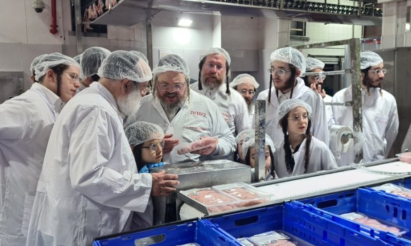 סיור במשחטת בד"צ 'מחזיקי הדת': הרה"צ מבעלזא עקב מקרוב אחר סדרי השחיטה