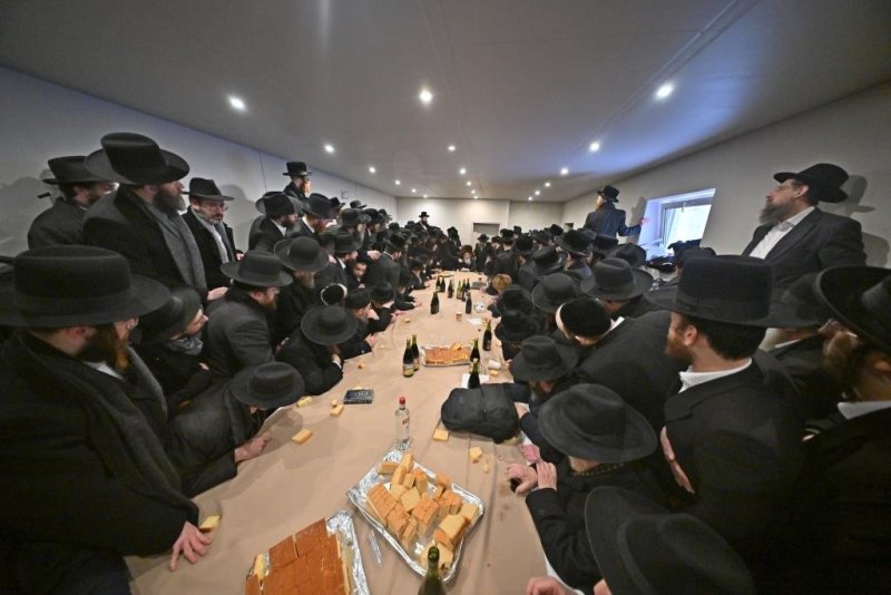 יהושע פרוכטר