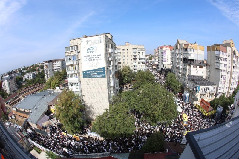 יהודה וויס