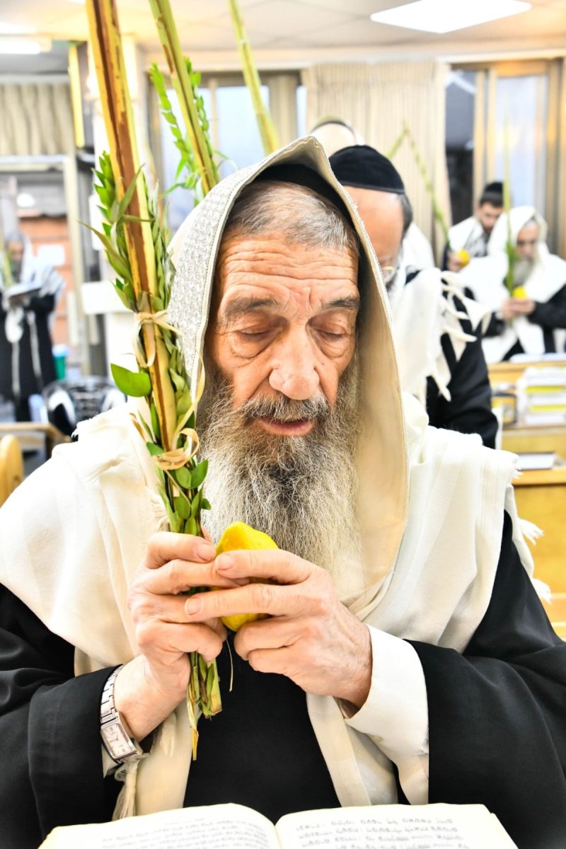 שוקי לרר, איתי קצב ונועם אליהו