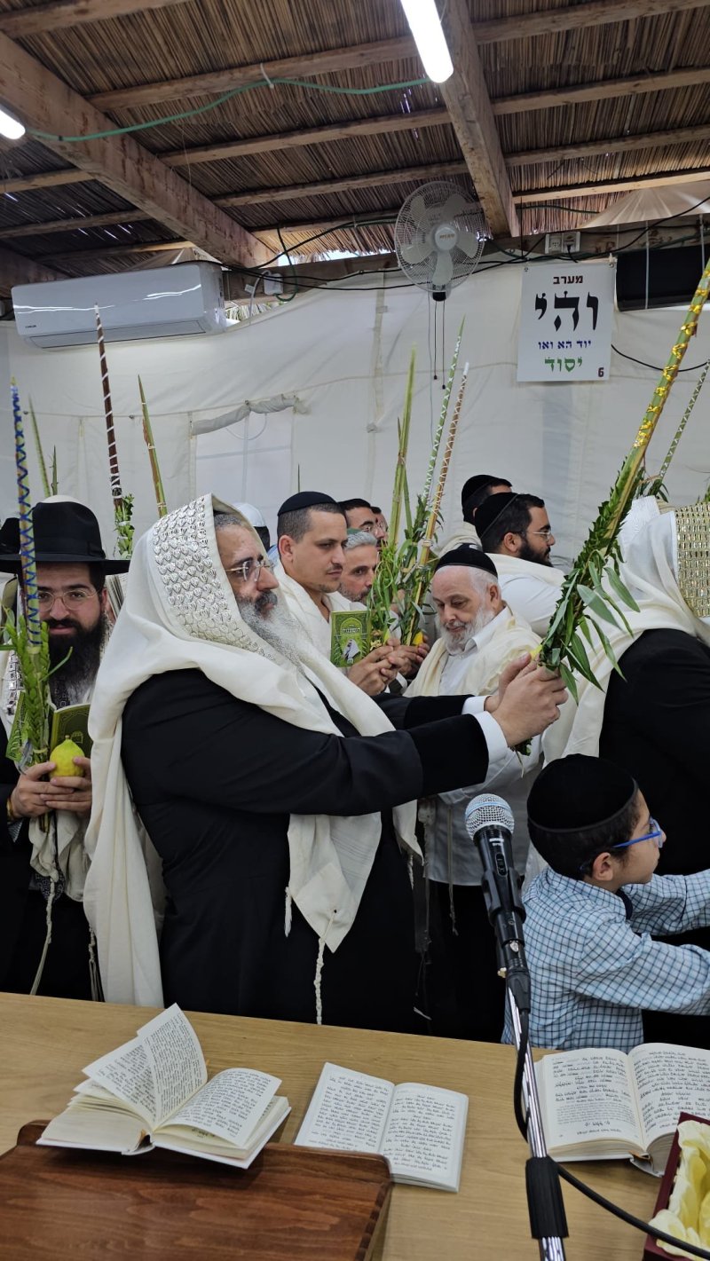 באדיבות המצלם