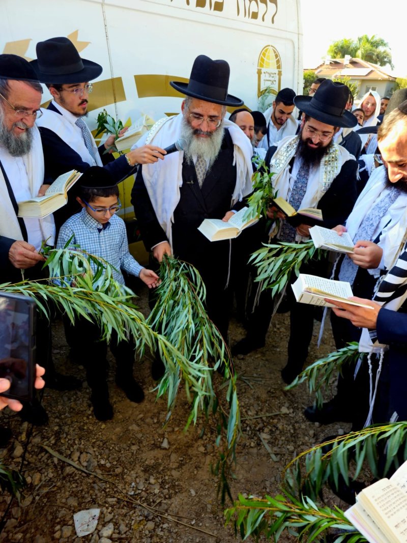 באדיבות המצלם