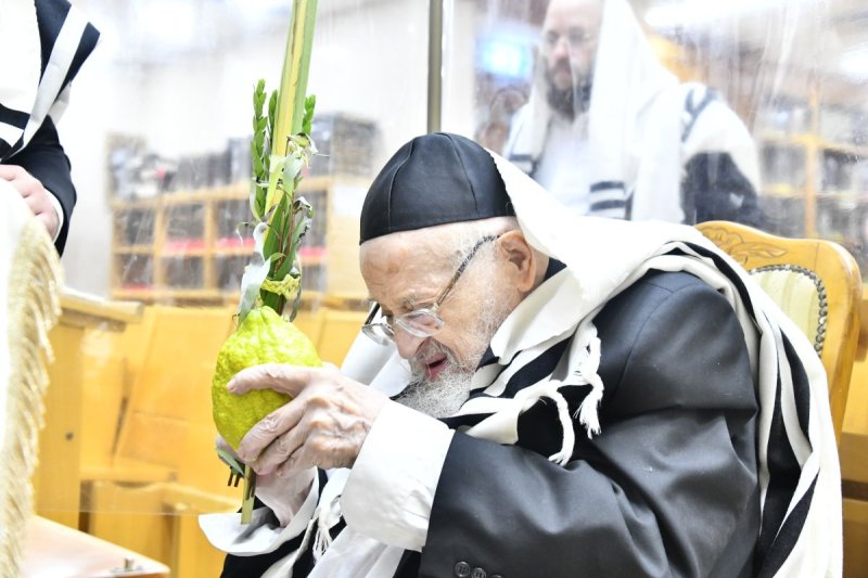 שוקי לרר