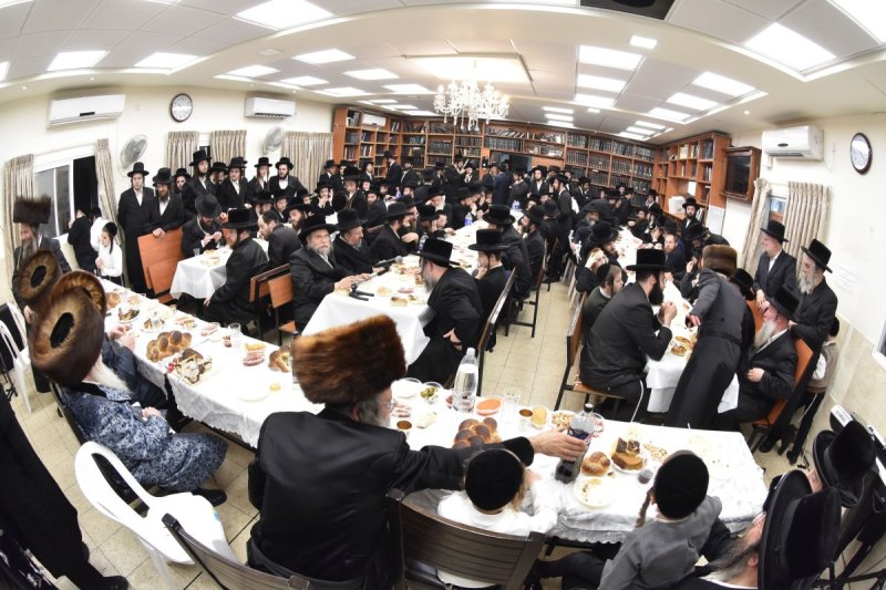 יהודה פרקוביץ