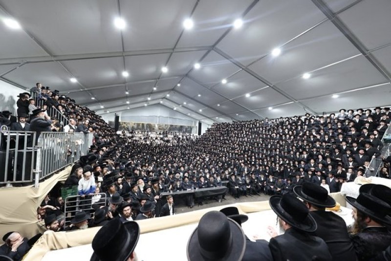 א. אייזנבאך ודוד ארזני