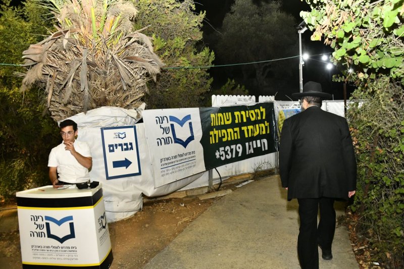 רינה של תורה