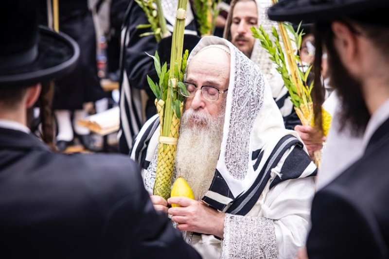 האחים לענטשעווסקי, הלל ל"ש