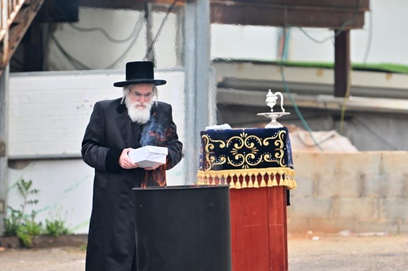 יהושע פרוכטר