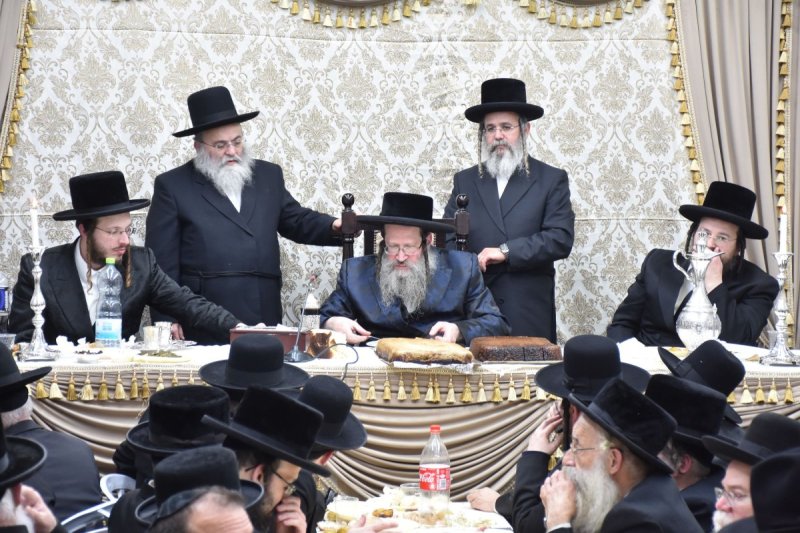 יהודה פרקוביץ