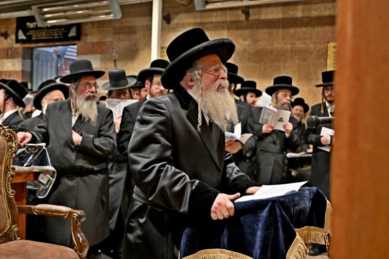 יהושע פרוכטר