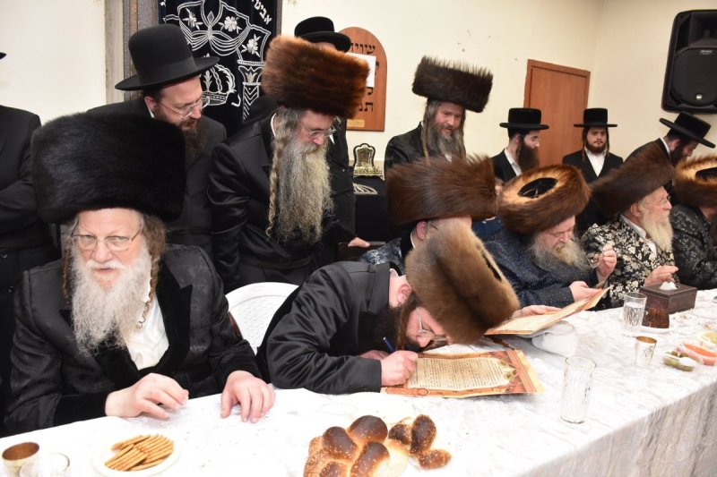 יהודה פרקוביץ