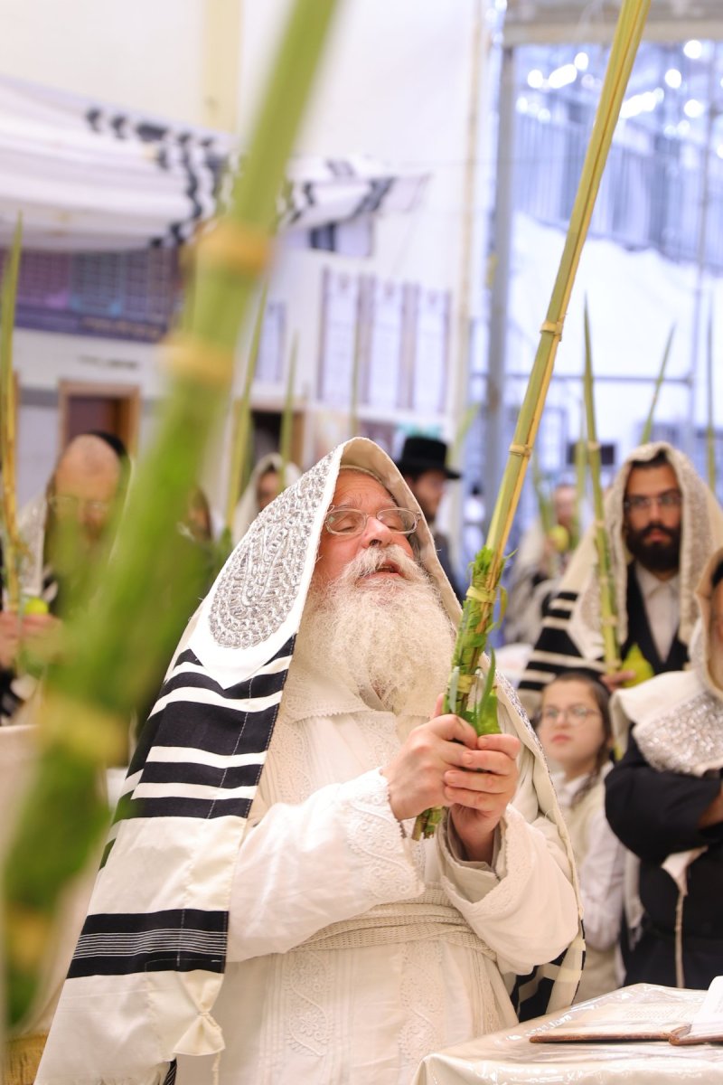 באדיבות המצלם