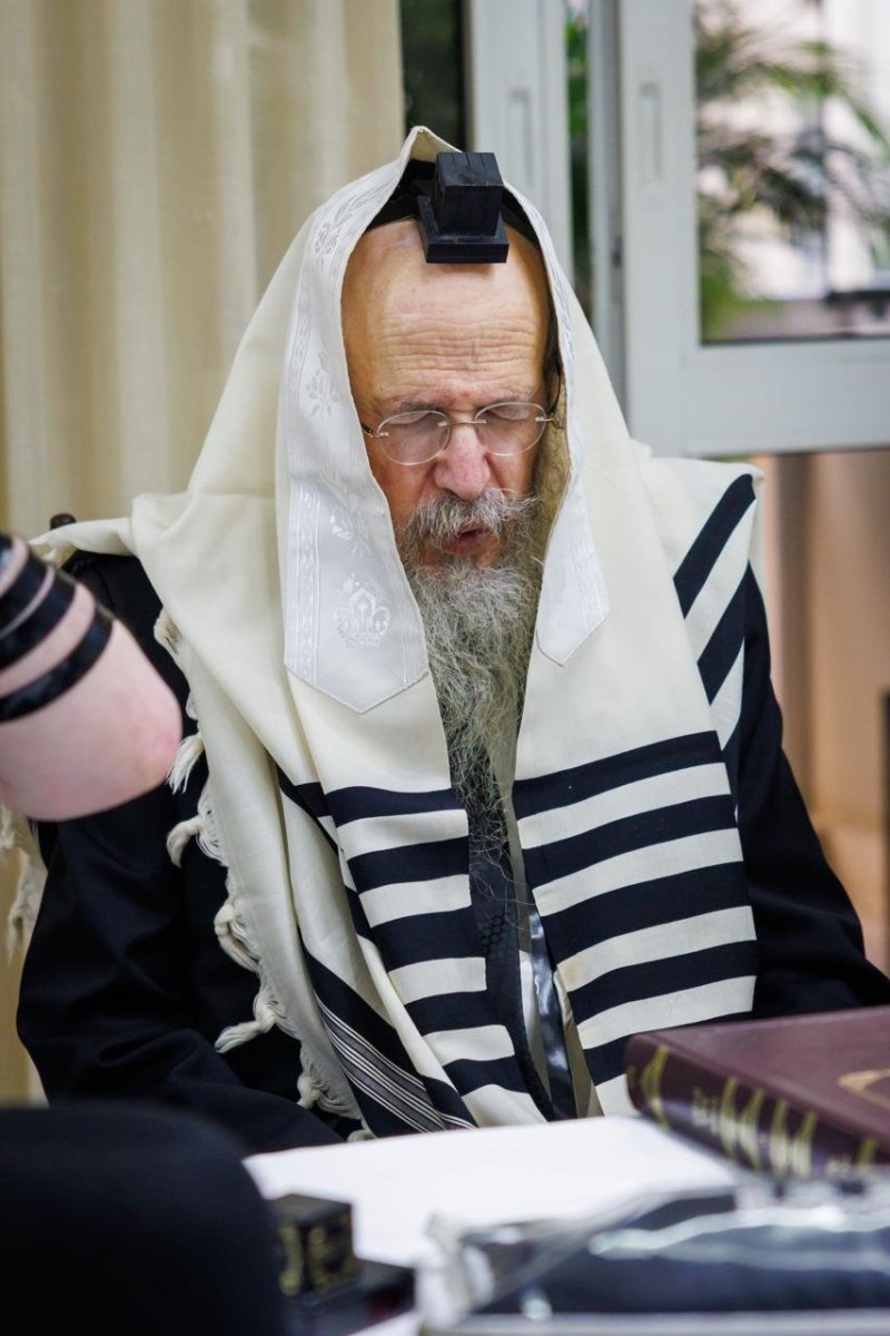 דניאל נפוסי ומאיר זלזניק