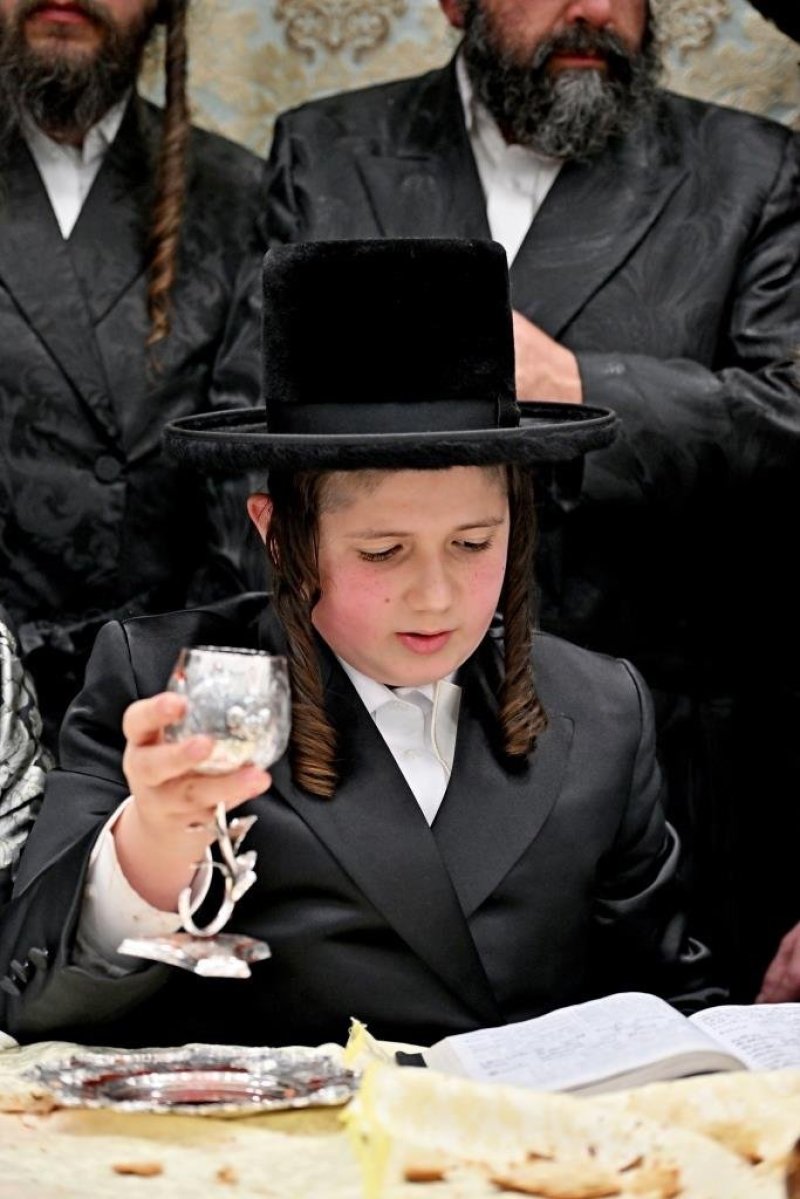 יהושע פרוכטר