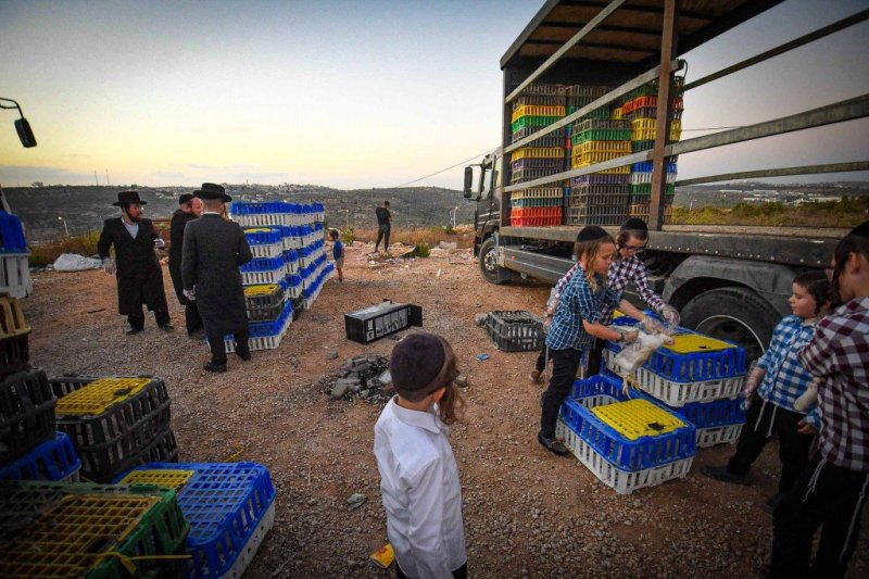 ארי קופרשטוק