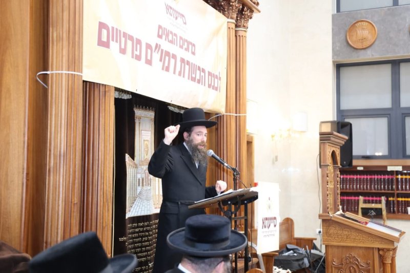 שלומי טריכטר