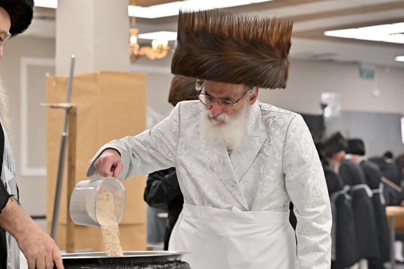 יהושע פרוכטר